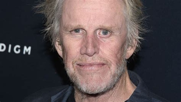 Unveiling The Secrets Of Gary Busey's Tumultuous Relationships